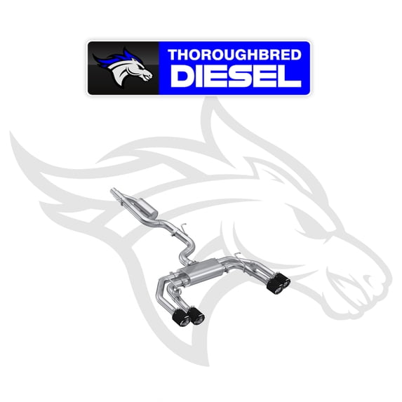 MBRP S46193CF Cat-Back Active Exhaust System for 22-Up Audi S3 2.0L