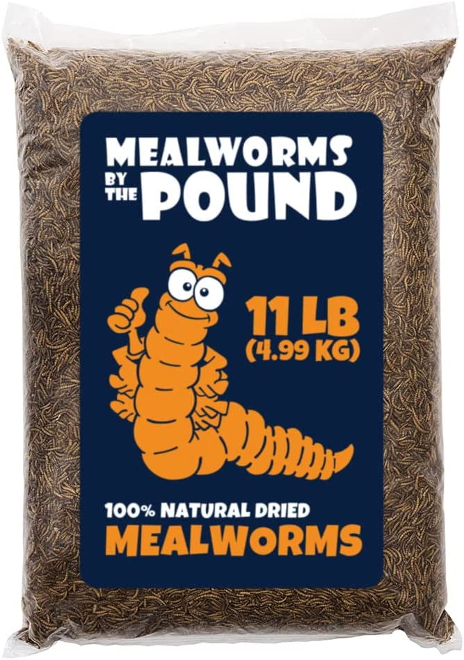 MBTP Bulk Dried Mealworms Treats for Chickens & Wild Birds (11 lbs