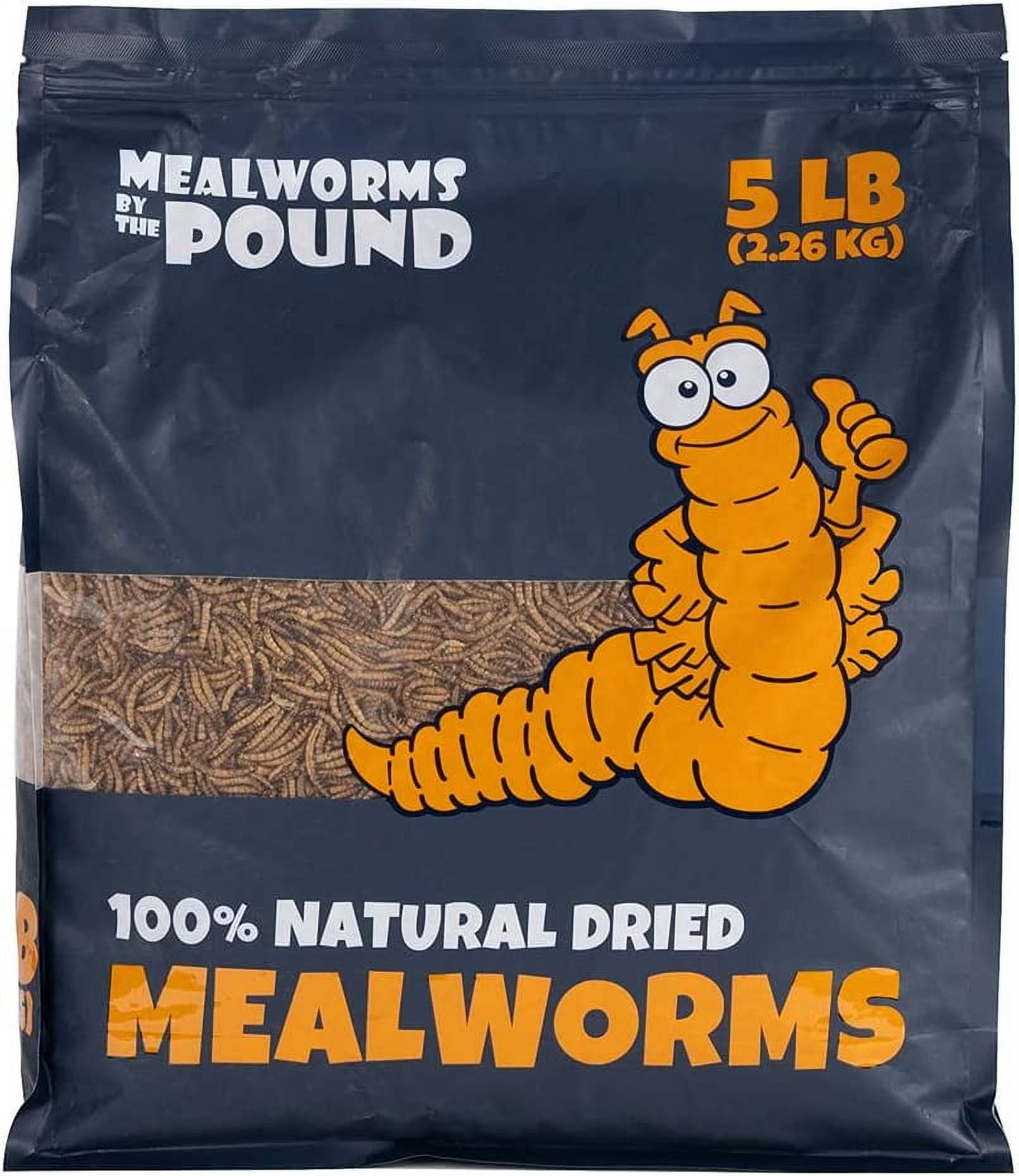 MBTP AllNatural Dried Mealworms ProteinRich Food Worms Feed for