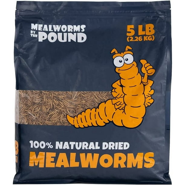 MBTP Bulk Dried Mealworms Treats for Chickens & Wild Birds (5 Lbs