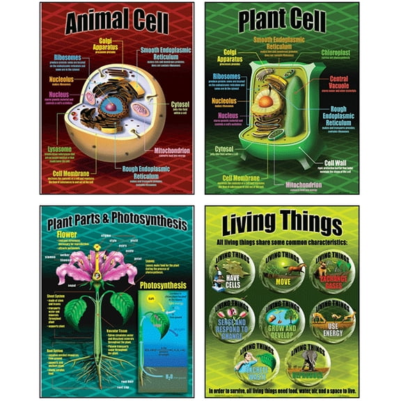 McDonald Publishing Life Science Posters, Set of 4