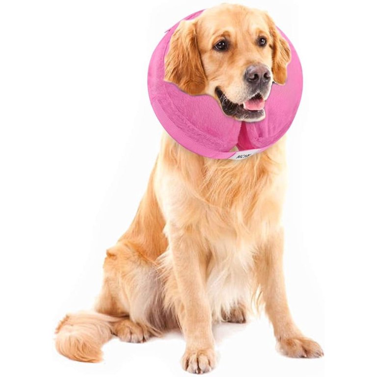 The bite not hot sale collar for dogs