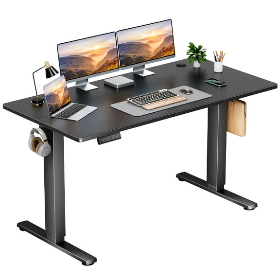 MCQ 55x24 Inch Electric Standing Desk, Ergonomic Rising Modern Lift Motorized Gaming Desktop Workstation, For Work Home Office, Height Adjustable, Black