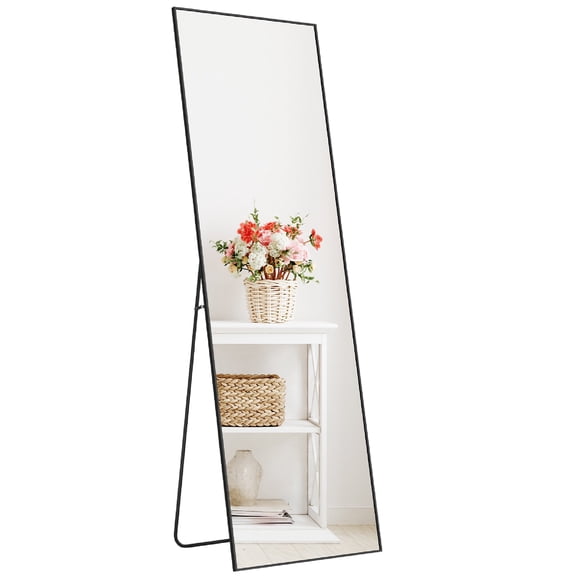MCQ Rectangle Full Length Mirror 64"x21", Full Body Thin Metal Frame for Adult, Bedroom, Black