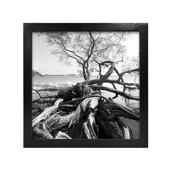 MCS 10x10 Solid Wood Art Frame In Black