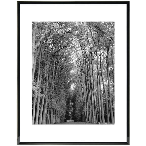 MCS Float Frame - Black, 11" x 14"