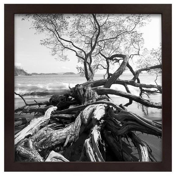 MCS 12x12 Solid Wood Art Frame In Walnut