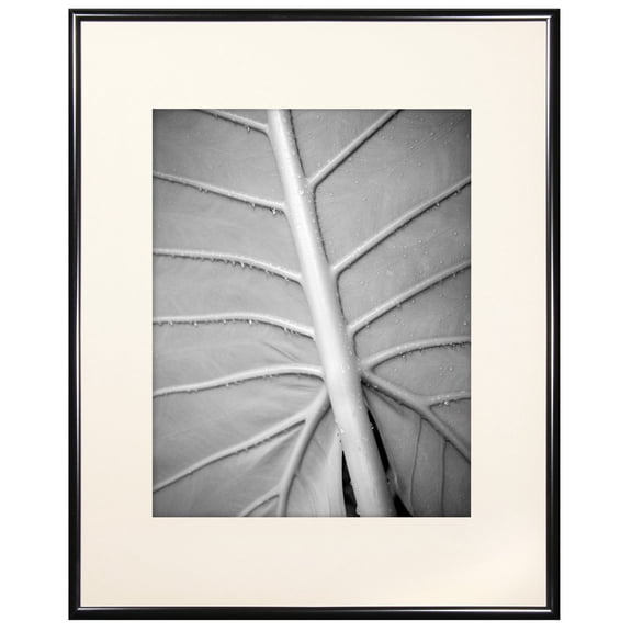 MCS 12x16 Inch Gallery Aluminum Frame with 8x12 Inch Mat Opening, Black (65596)