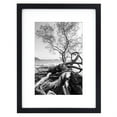 thumbnail image 1 of MCS 12x16 Solid Wood Art Frame Matted For 8x12 In Black, 1 of 5