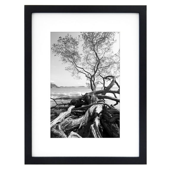 MCS 12x16 Solid Wood Art Frame Matted For 8x12 In Black