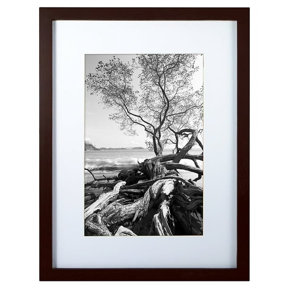 MCS 12x16 Solid Wood Art Frame Matted For 8x12 In Walnut