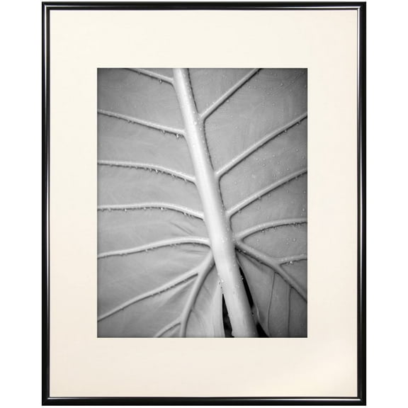 Classic Black Aluminum POSTER matted 16x20 11x14 frame - 11x14