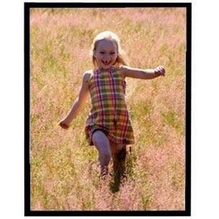 MCS 16x20 Inch Multipurpose Picture Frame, Black (21197)