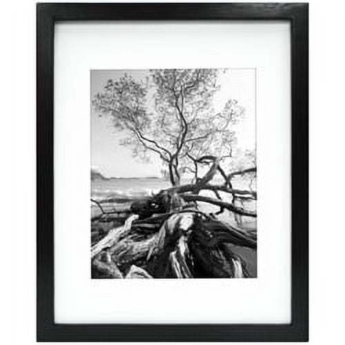 Black ARCHIVAL SERIES Matted Wood frame 16x20/11x14 by MCS