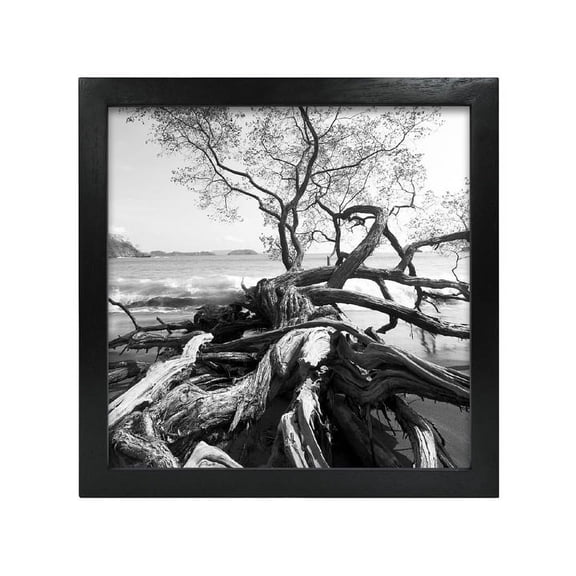 MCS 6x6 Solid Wood Art Frame In Black