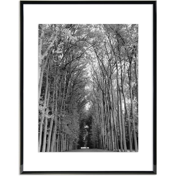 MCS Float Frame - Black, 8" x 10"