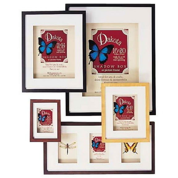 Dakota Black-Stain Shadow Box 8x10 5x7 frame w ivory mat by MCS - 5x7