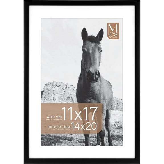 MCS Everline Collection 14x20 Poster Frame, Display Pictures 11x17 With Mat or 14x20 Without Mat, Vertical & Horizontal Wall Hanging Large Picture Frame for Photos & Posters, Black (1-Pack)