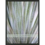 MCS INDUSTRIES 12492 12x18 GALLERY ALUMINUM BLACK PICTURE FRAME