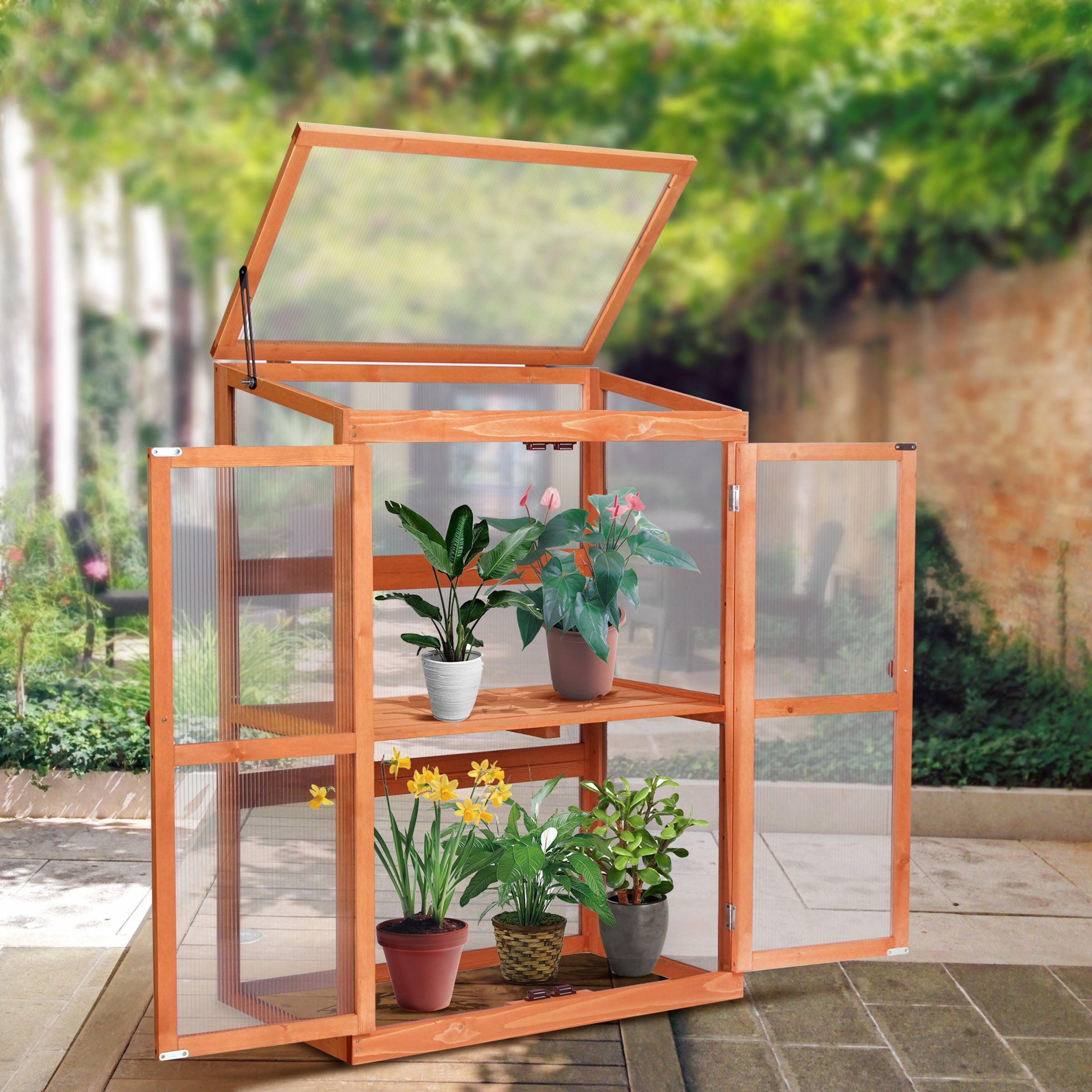 Fir Wood and PVC Mini Greenhouse with Adjustable Shelves
