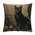 thumbnail image 1 of MDO Black Cat Decorative Throw Pillow Covers Pillows Case Square Cushion Cover Standard Pillowcase for Sofa Couch Bedroom Patio 18 X18 Inch, 1 of 5