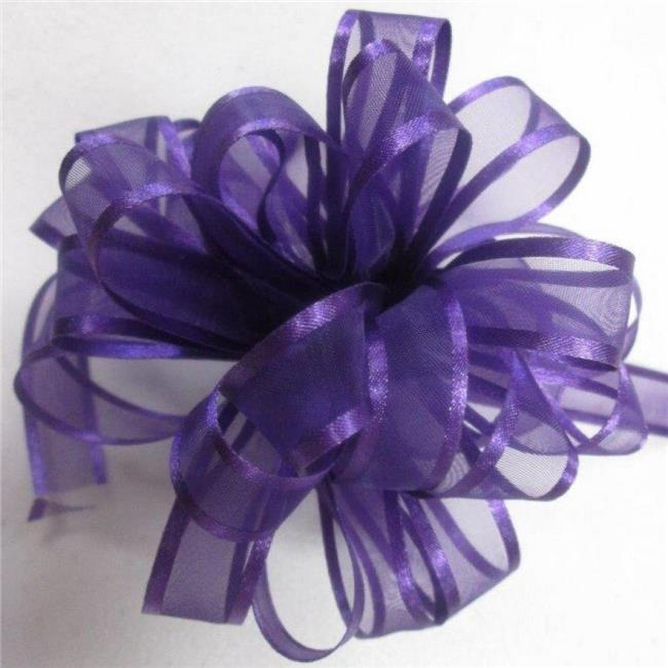 502 Ribbon MDR Trading AI-183309-Q12 0.63 in. x 25 Yards Purple Cleopatra Ribbon ...