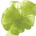 thumbnail image 1 of MDR Trading AI-189329-Q02 0.63 in. x 100 Yards Willow Green Chiffon Ribbon - Set of 2, 1 of 1