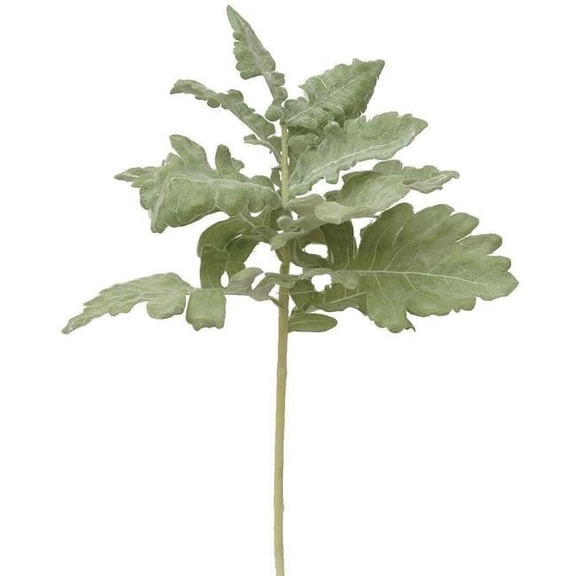 MDR Trading AI-FL2517FRO-Q01 Frosted Green Dusty Miller Stem Faux Plants & Trees