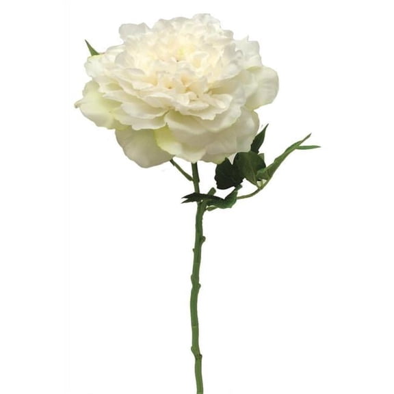 MDR Trading AI-FL3922CRW-Q06 Creamy White Peony Stem Artificial Flower - Set of 6
