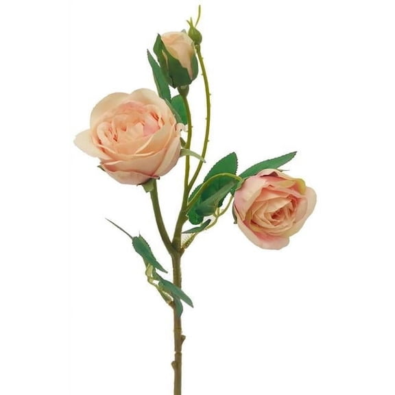 MDR Trading AI-FL3973BLS-Q12 Blush Pink English Garden Rose Artificial Flower - Set of 12