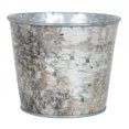 thumbnail image 1 of MDR Trading AI-GA3510BIR-Q12 Birch Bark Look Bucket, Silver, White & Brown - Set of 12, 1 of 1