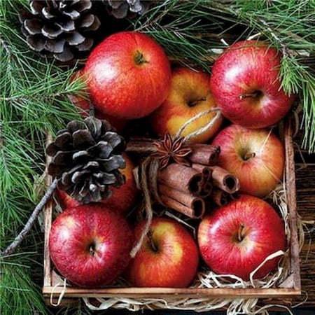MDR Trading AP-XNAP1183-AP Apples & Cinnamon Napkins - Pack of 20
