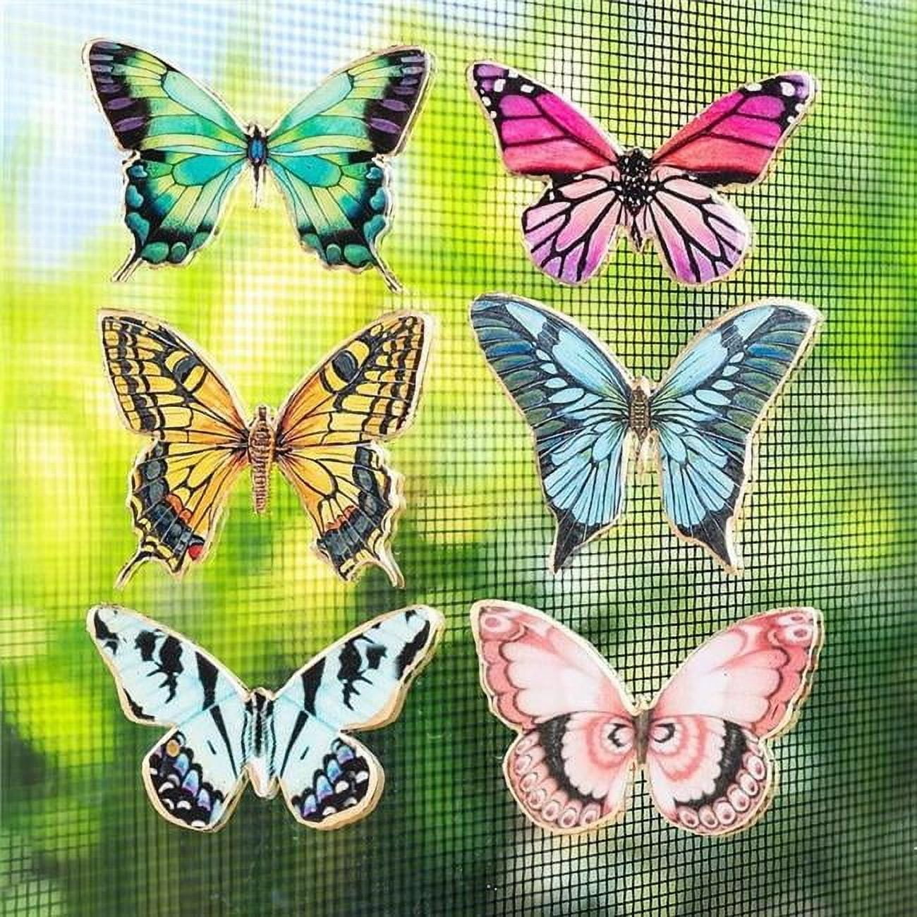 MDR Trading Inc. AB-37-SNAP-100 Set Of 6 Assorted Butterflies Two-Sided Magnet