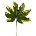 thumbnail image 1 of MDR Trading Inc. AI-FL2655VAR_Q01 Fatsia Leaf Faux Plants And Trees, 1 of 1