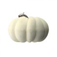 thumbnail image 1 of MDR Trading Inc. CM-RC080CR_Q01 Cream Color Waterproof Weathered Pumpkin Figurine, 1 of 1