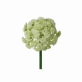 thumbnail image 1 of MDR Trading Inc. CM-RT262GR_Q01 Green And White Sedum Ball Pick Faux Plants And Trees, 1 of 1