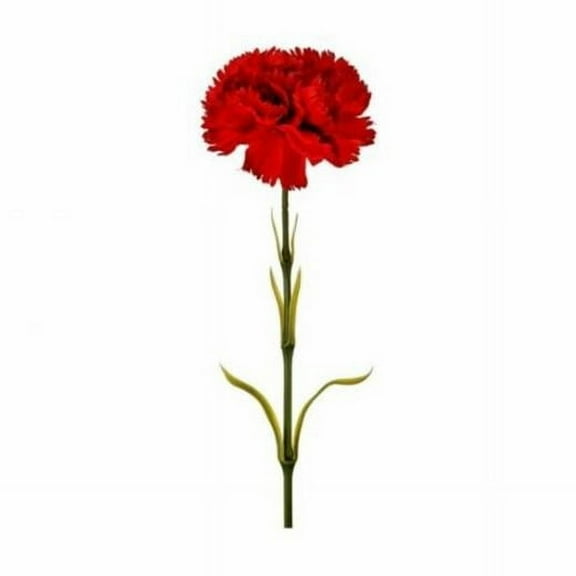 MDR Trading Inc. CM-RT905RD_Q01 Red Carnation Stem Artificial Flower