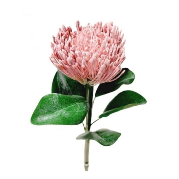 MDR Trading Inc. CM-YY148BU_Q01 Light Burgundy Protea Stem Artificial Flower