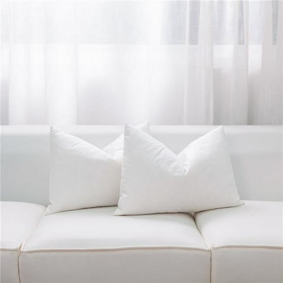 MDR Trading Inc. HU-FD20260001 20 X 26 Inches Feather Pillow Insert