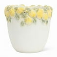 thumbnail image 1 of MDR Trading Inc. AB-27-ZESTY-LG Large Lemon Edge Planter, 1 of 2