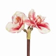 thumbnail image 1 of MDR Trading Inc. AB-27-AMARYLLIS-432-PNK_Q01 Pink Amaryllis Stem With 3 Blooms Artificial Flower, 1 of 1