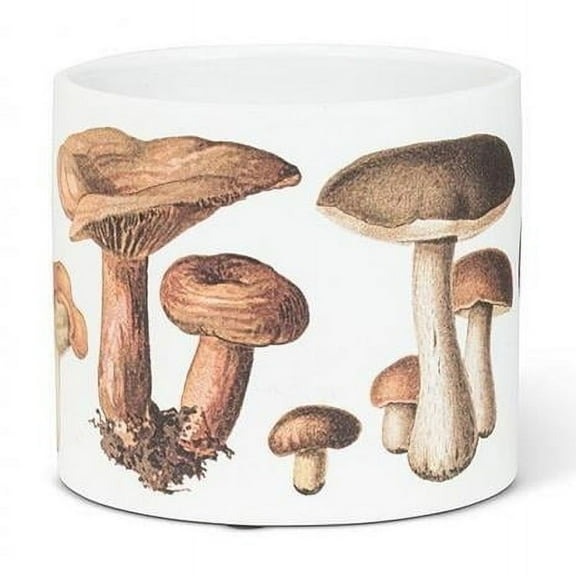 MDR Trading Inc. AB-27-PL-AB-222-SM_Q01 Small Botanical Mushroom Planter