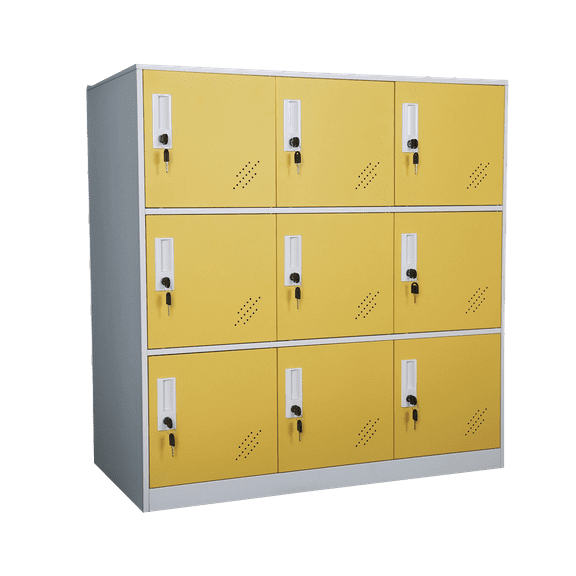 MECOLOR Office and school locker cabinet Organizers for Small size with Lock for file Cloth and self belonging