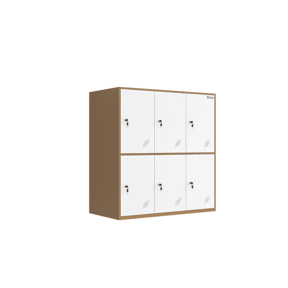 MECOLOR Office and school locker cabinet Organizers for Small size with Lock for file Cloth and self belonging