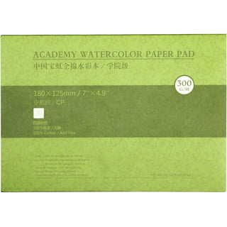 BAOHONG Academy Watercolor Paper Pad 20 Sheets 300G Watercolor Paper 100%  Cotton Acid Free Painting