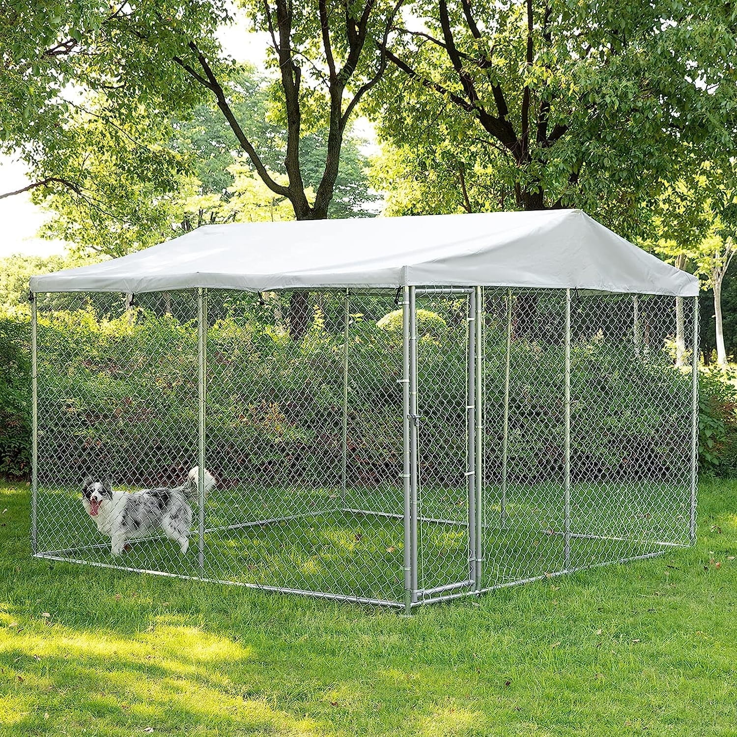 Outdoor enclosed dog kennel 2025