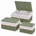 thumbnail image 1 of MEHOOM Small Wicker Storage Baskets with Lids, Set of 3 Handwoven Paper Rope Decorative Baskets with Washable Cotton Liners for Shelves and Tabletops, Green, 1 of 11