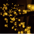 thumbnail image 1 of MEHOOM 100 Pack Solar String Lights, 40 Ft LED Outdoor Solar Lights, 8 Modes, Waterproof for Patio & Garden, 1 of 8