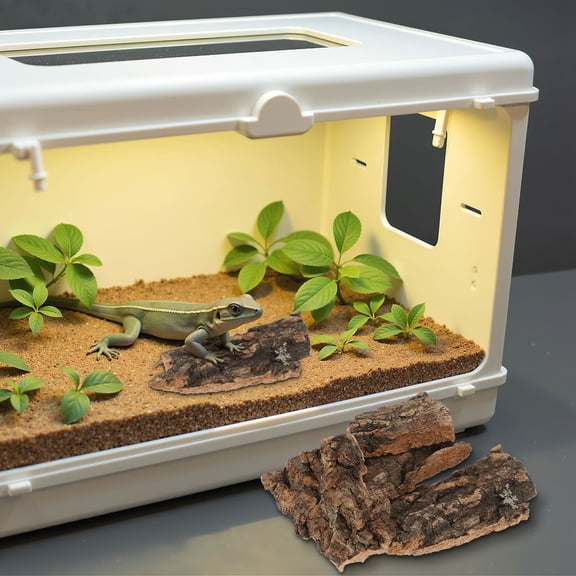 MEIBUTYUP 10Pcs Irregular Reptile Bark Background Tree Bark Decor Coffee Wood Resting Place for Pet Care