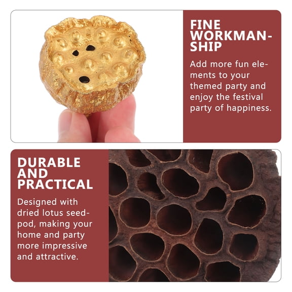 MEIBUTYUP 12-Pack Natural Dried Lotus for Holiday Decorations, Festive Home Decor, Craft Projects, and Floral Arrangements